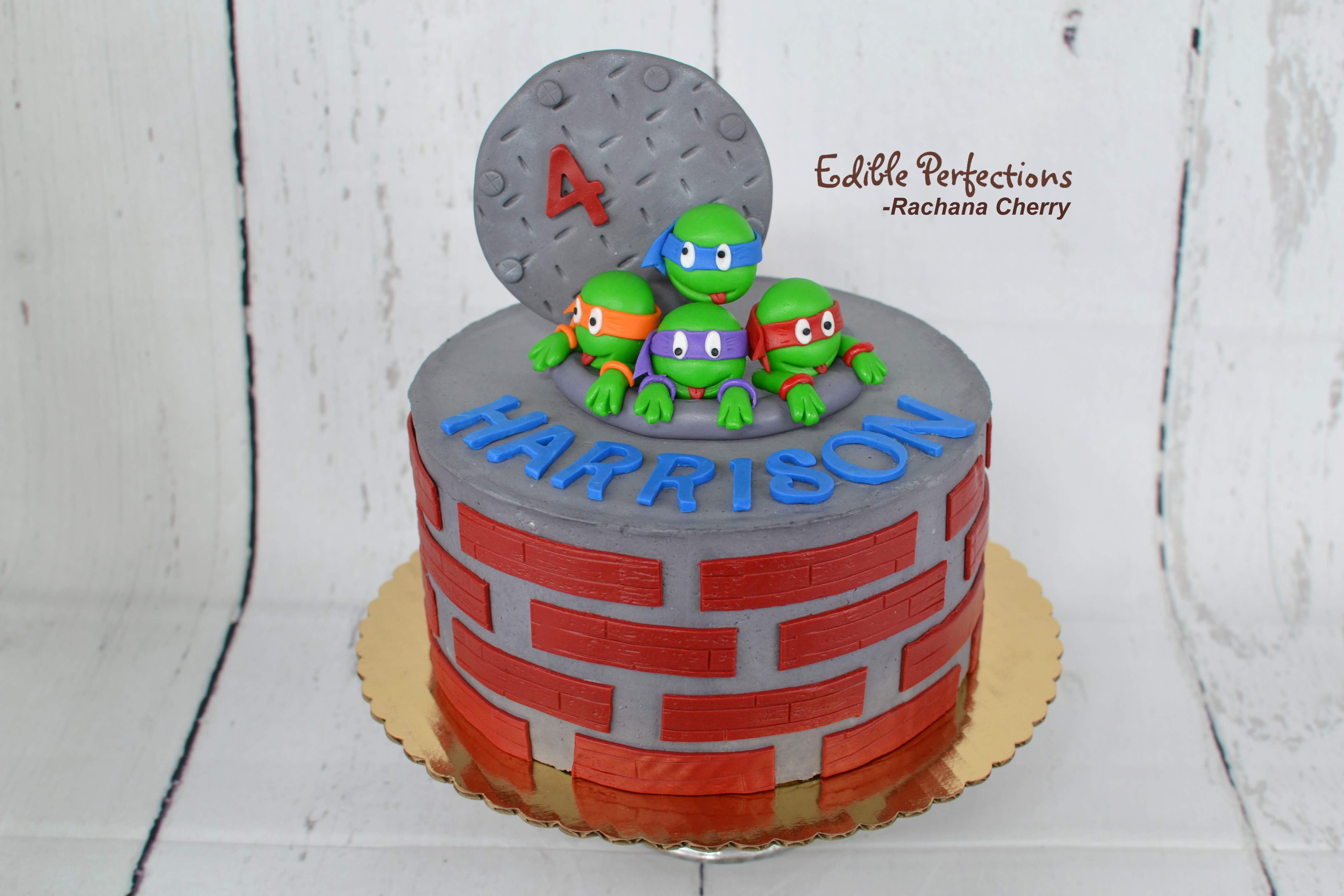 Detail Ninja Turtle Cake Design Nomer 32