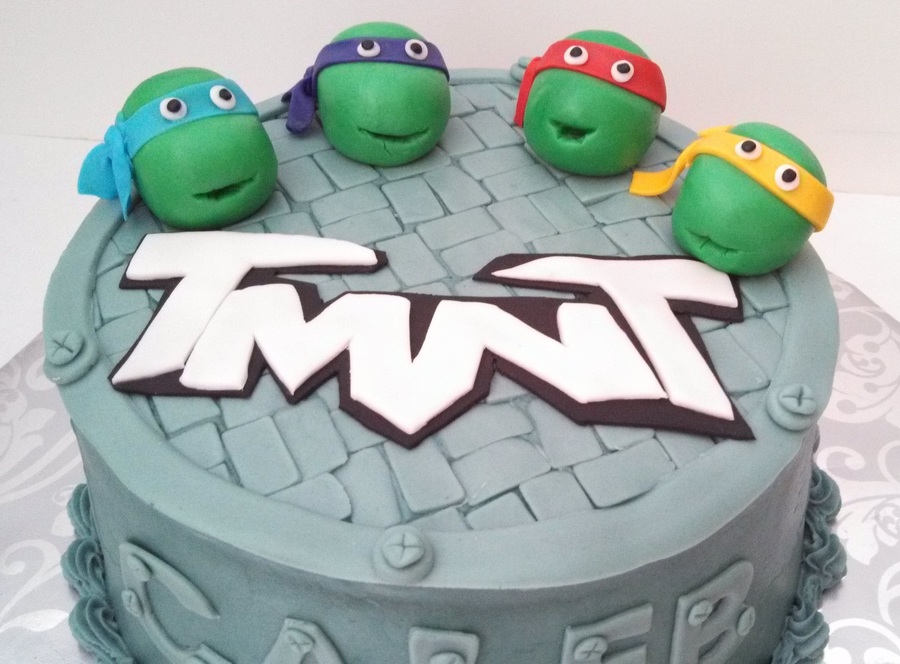 Detail Ninja Turtle Cake Design Nomer 39