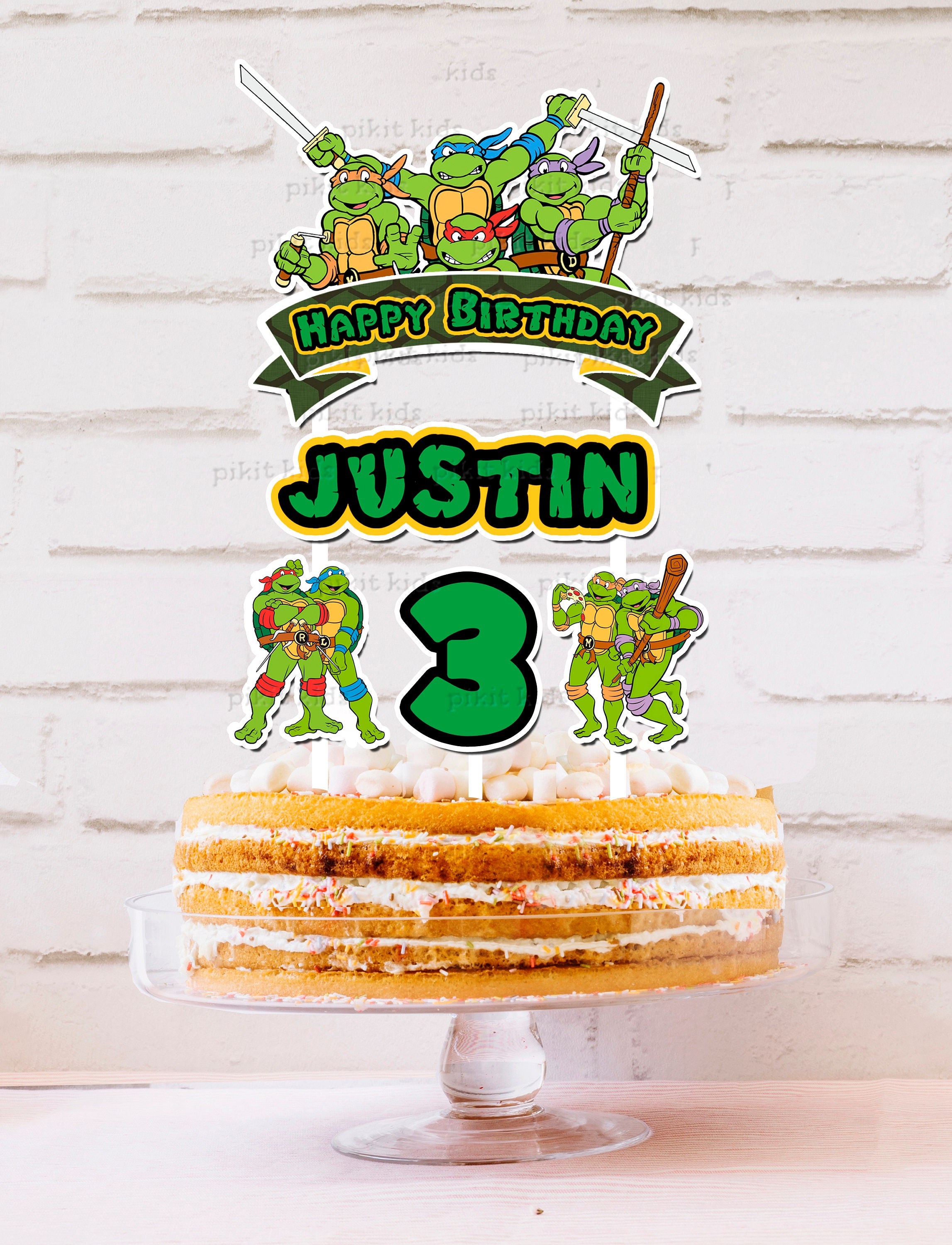 Detail Ninja Turtle Cake Designs Nomer 31