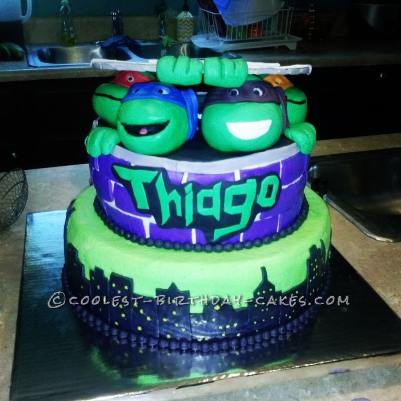 Detail Ninja Turtle Cake Designs Nomer 52