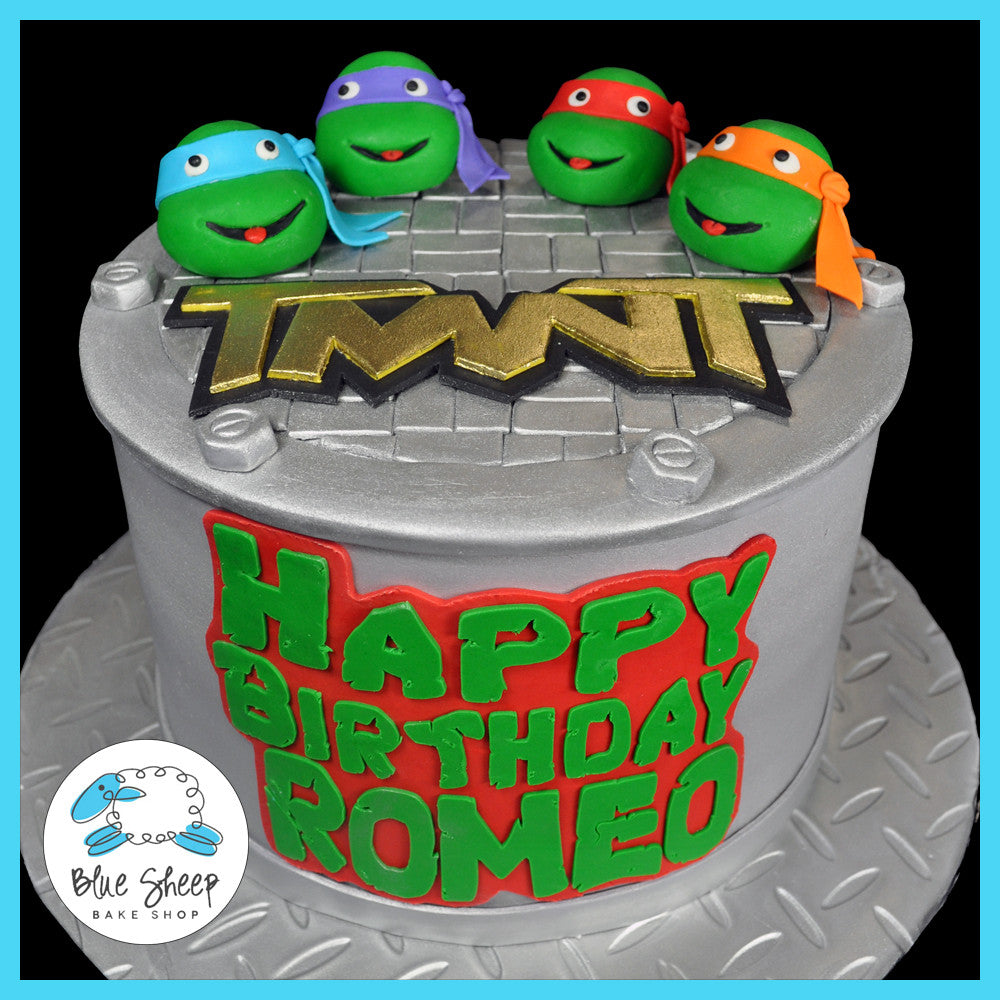 Detail Ninja Turtle Cakes Pictures Nomer 26