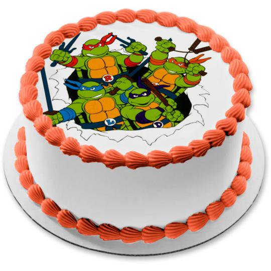 Detail Ninja Turtle Cakes Pictures Nomer 4