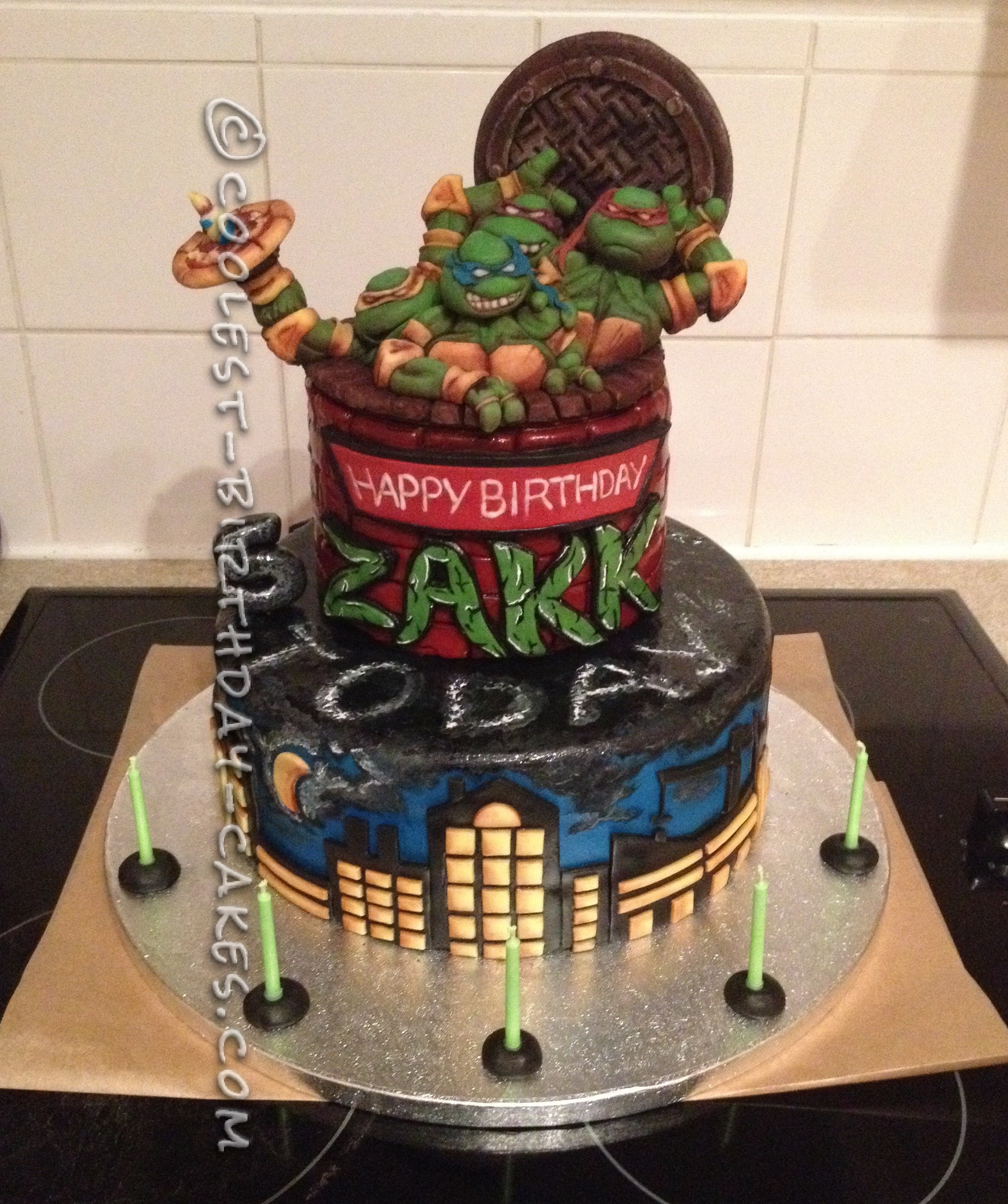 Detail Ninja Turtle Cakes Pictures Nomer 36