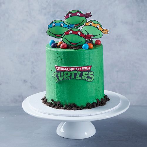 Detail Ninja Turtle Cakes Pictures Nomer 41