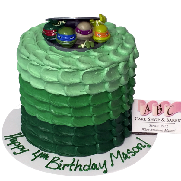 Detail Ninja Turtle Cakes Pictures Nomer 51