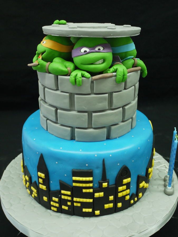 Detail Ninja Turtle Cakes Pictures Nomer 9