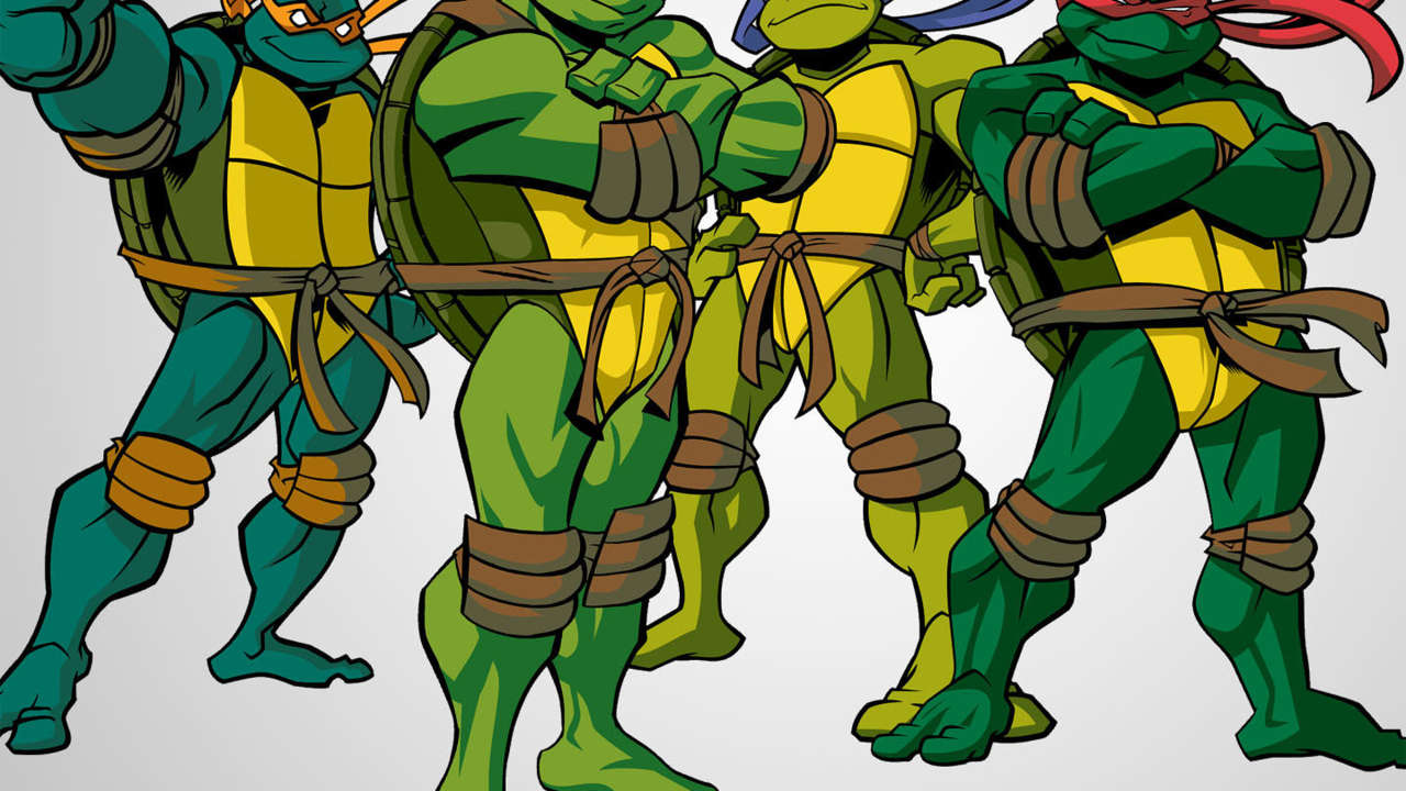 Detail Ninja Turtle Cartoon Pictures Nomer 9