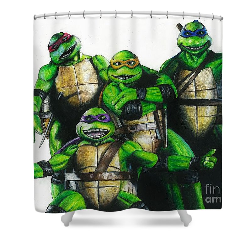 Detail Ninja Turtle Curtains Nomer 13