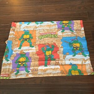 Detail Ninja Turtle Curtains Nomer 16