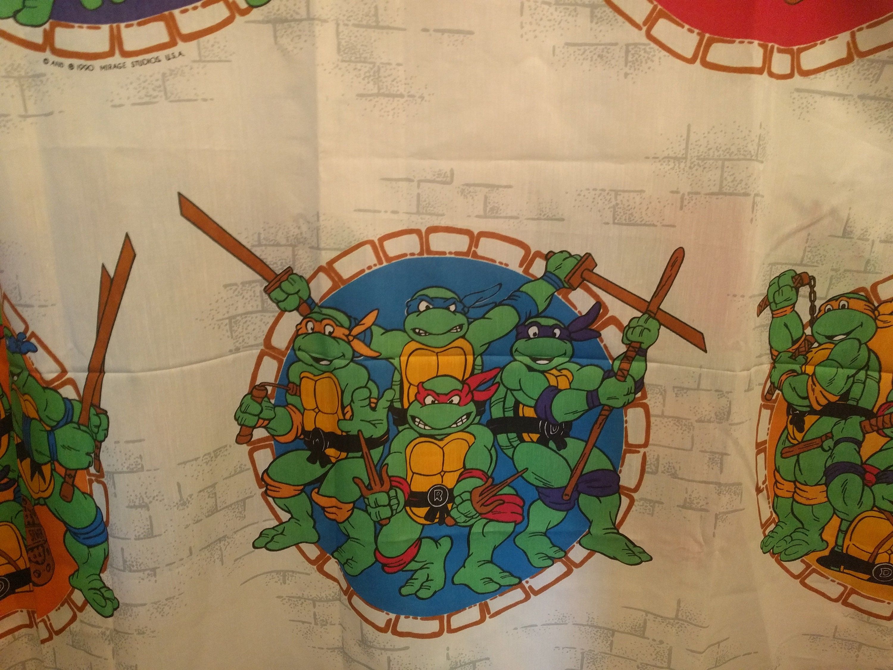 Detail Ninja Turtle Curtains Nomer 37