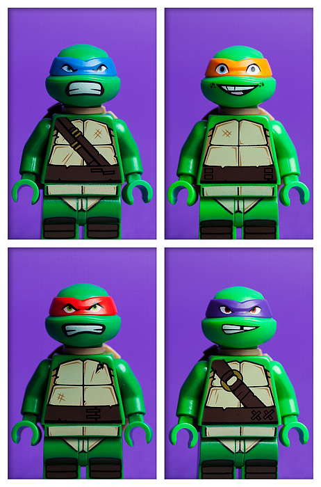 Detail Ninja Turtle Curtains Nomer 38