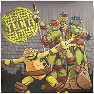 Detail Ninja Turtle Curtains Nomer 41