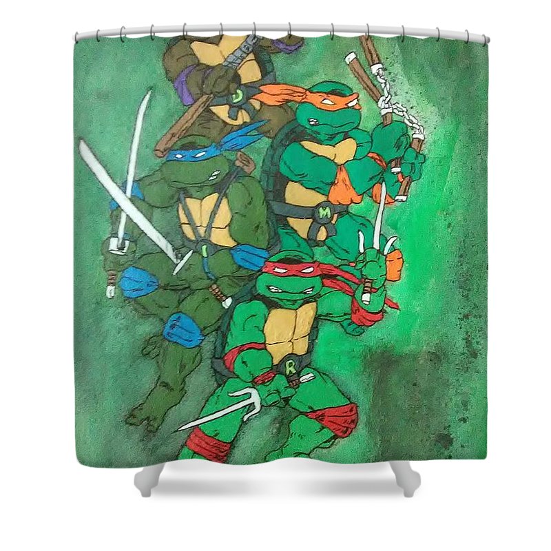 Detail Ninja Turtle Curtains Nomer 50