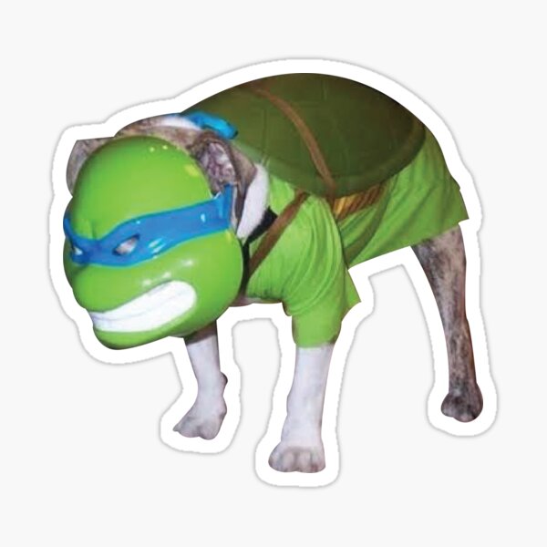 Detail Ninja Turtle Dog Tag Nomer 55