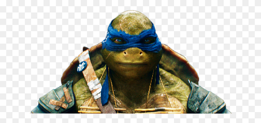 Detail Ninja Turtle Face Png Nomer 39