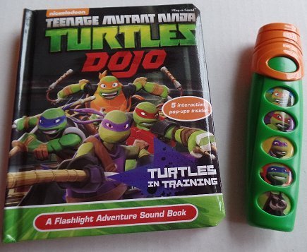 Detail Ninja Turtle Flashlight Nomer 17