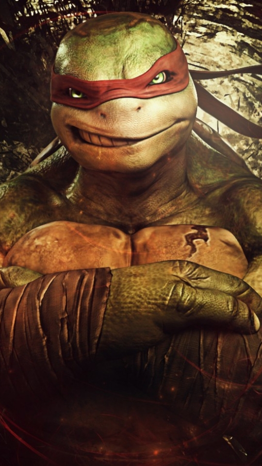 Detail Ninja Turtle Hd Wallpaper Nomer 19