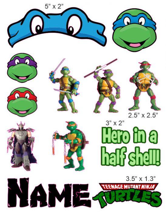 Detail Ninja Turtle Helmets Nomer 23