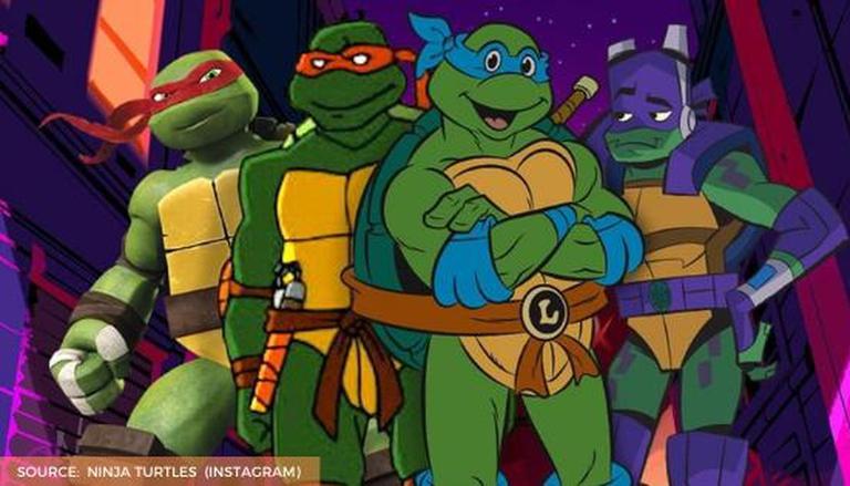 Detail Ninja Turtle Image Nomer 29