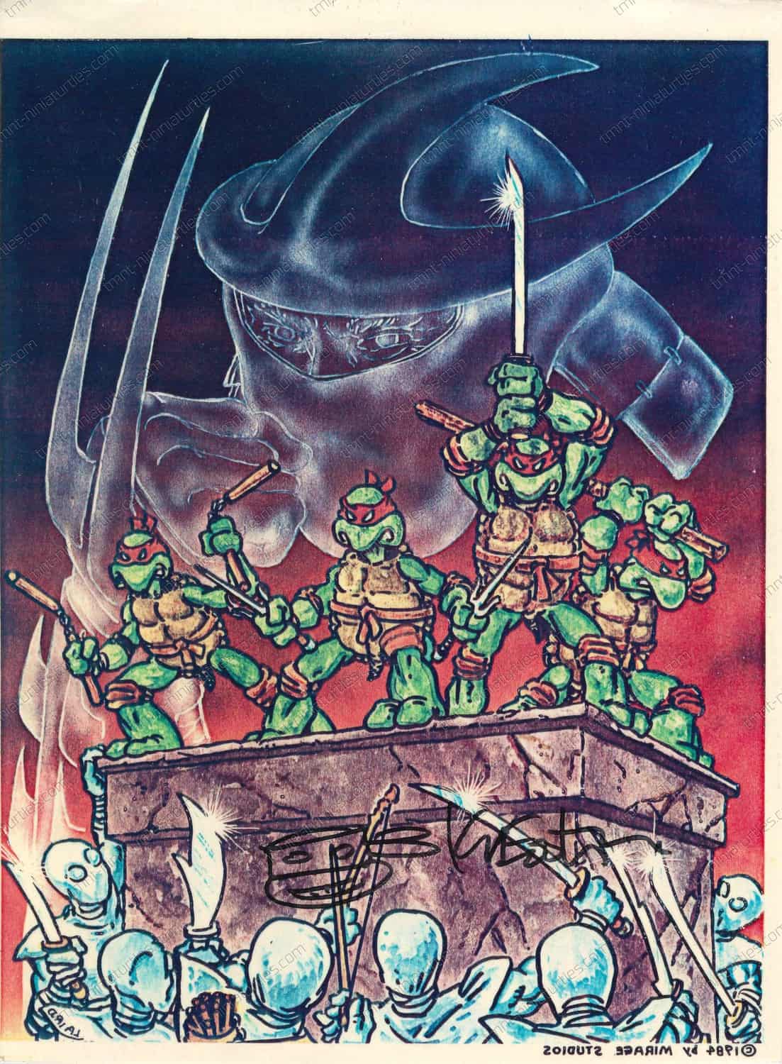 Detail Ninja Turtle Iron On Transfers Nomer 30
