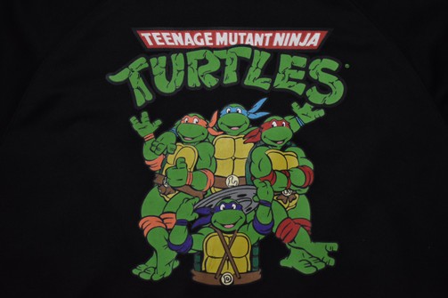 Detail Ninja Turtle Jacket With Mask Nomer 54