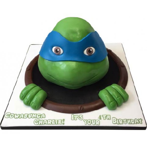 Detail Ninja Turtle Leonardo Cake Nomer 36