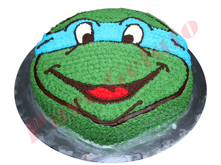 Detail Ninja Turtle Leonardo Cake Nomer 49