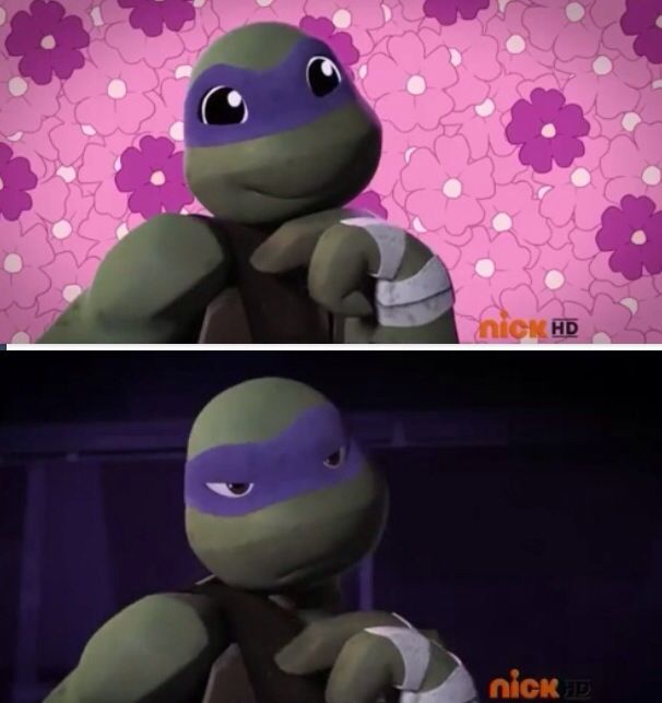 Detail Ninja Turtle Meme Face Nomer 10