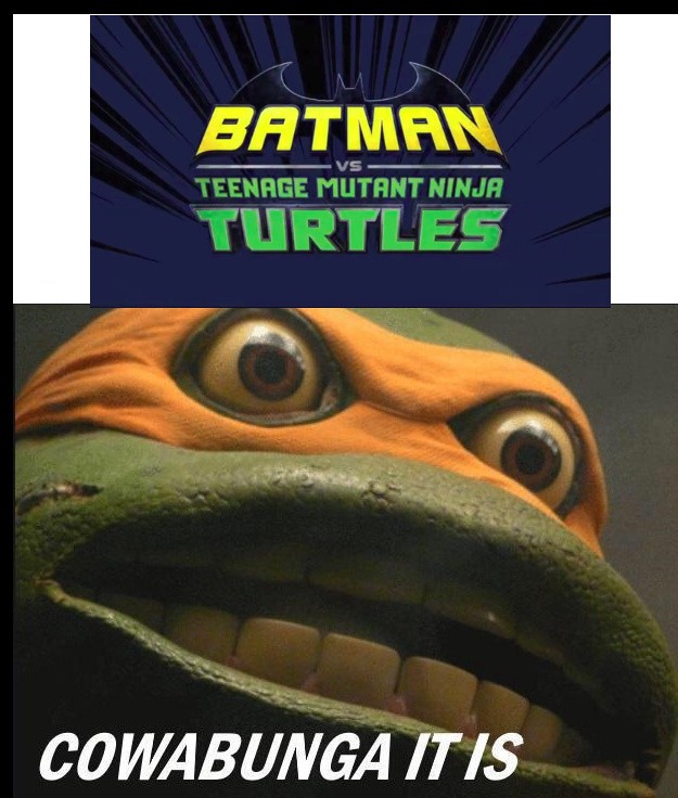 Detail Ninja Turtle Meme Face Nomer 12