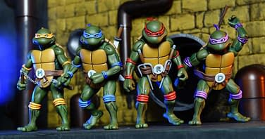 Detail Ninja Turtle Names And Weapons Nomer 16