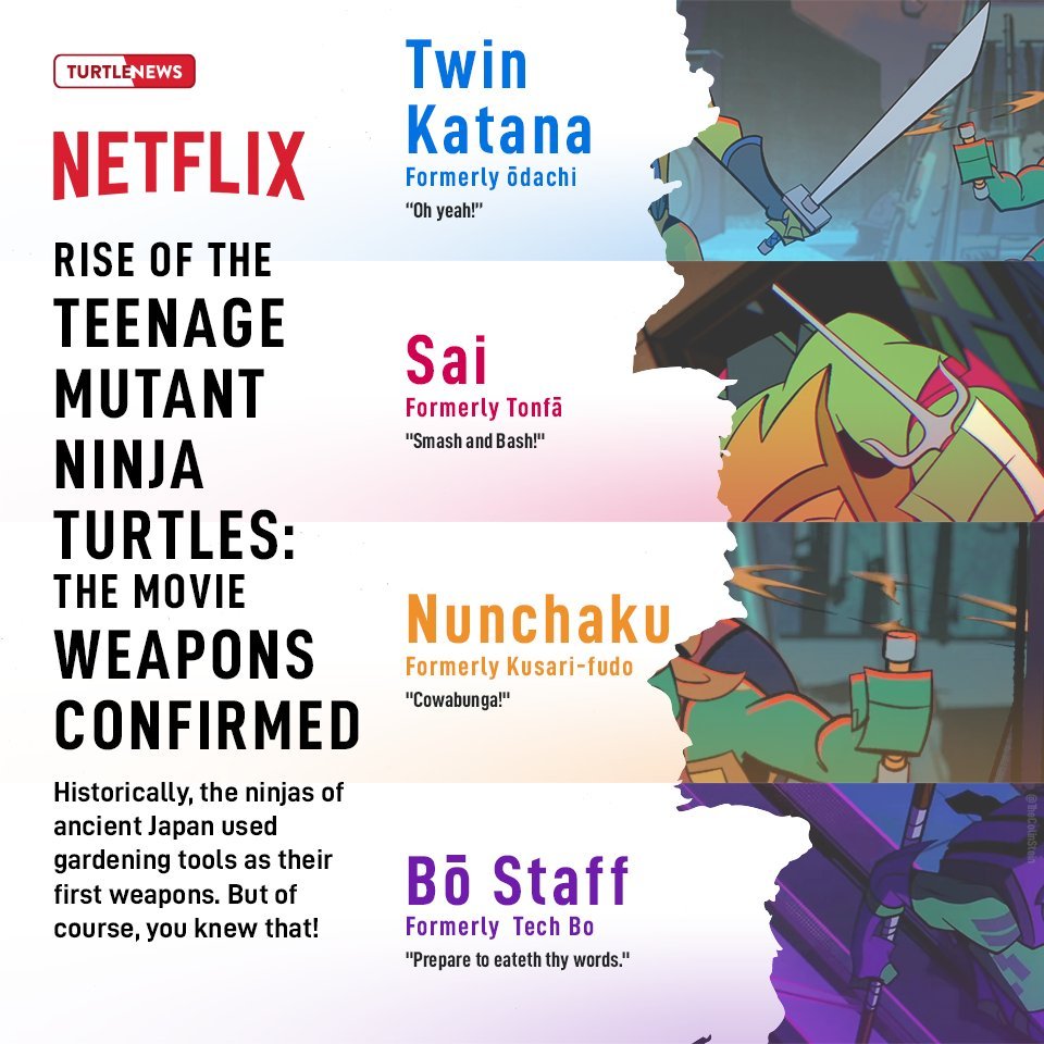 Detail Ninja Turtle Names And Weapons Nomer 44