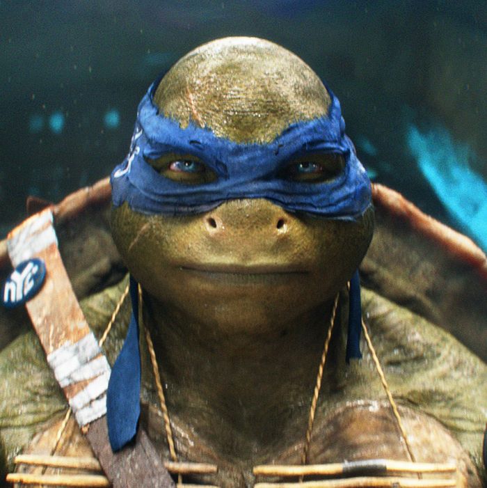 Detail Ninja Turtle Photo Nomer 35