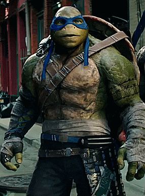 Detail Ninja Turtle Pic Nomer 16