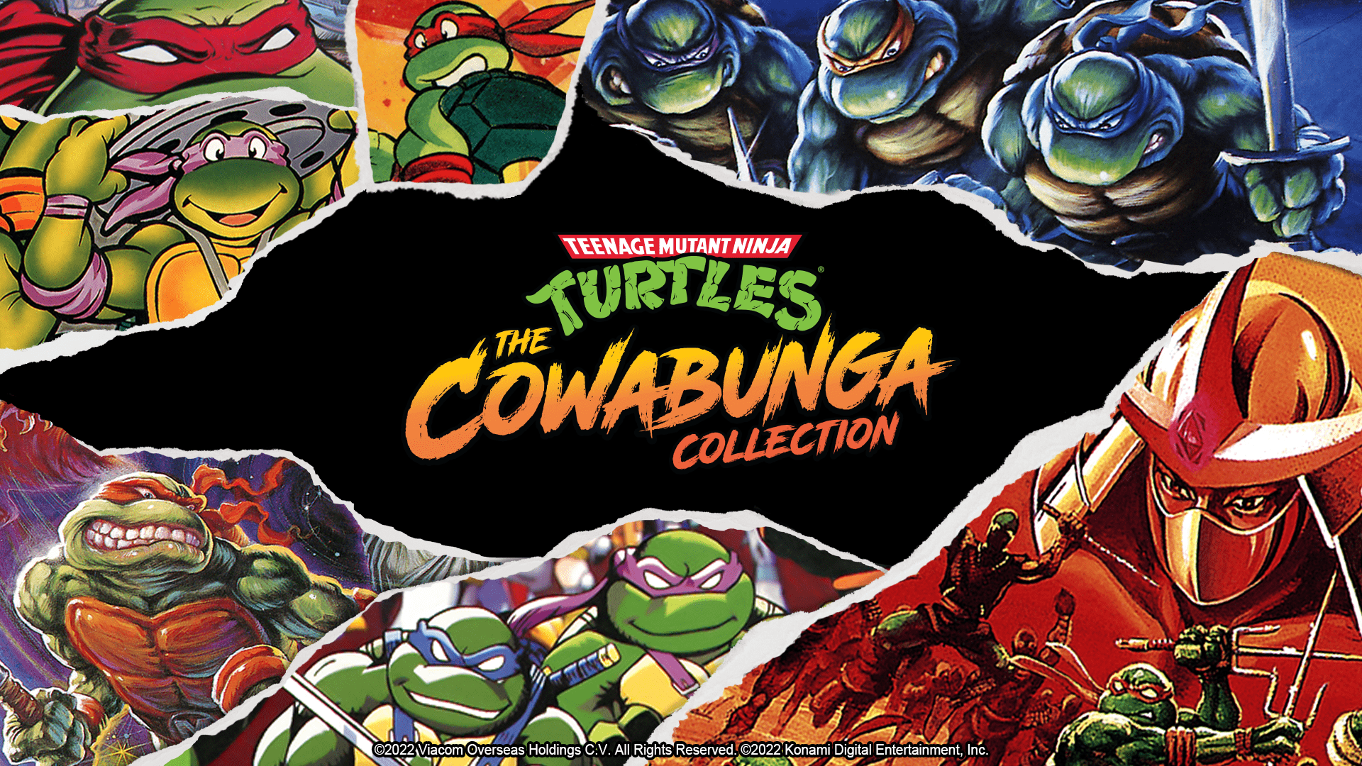 Detail Ninja Turtle Pics Nomer 18