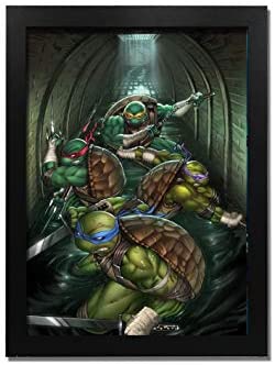 Detail Ninja Turtle Picture Frame Nomer 53