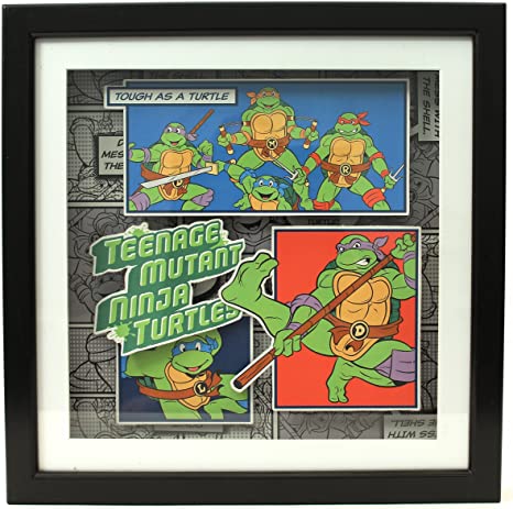 Detail Ninja Turtle Picture Frames Nomer 26