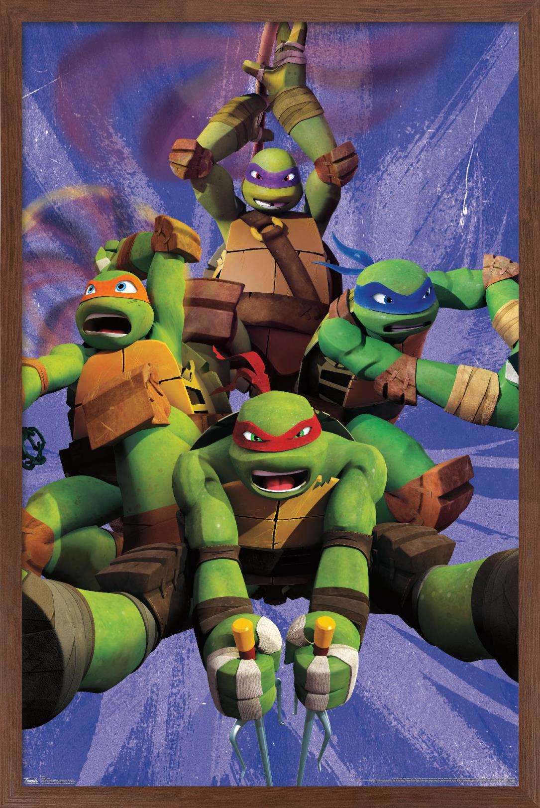 Detail Ninja Turtle Picture Frames Nomer 29