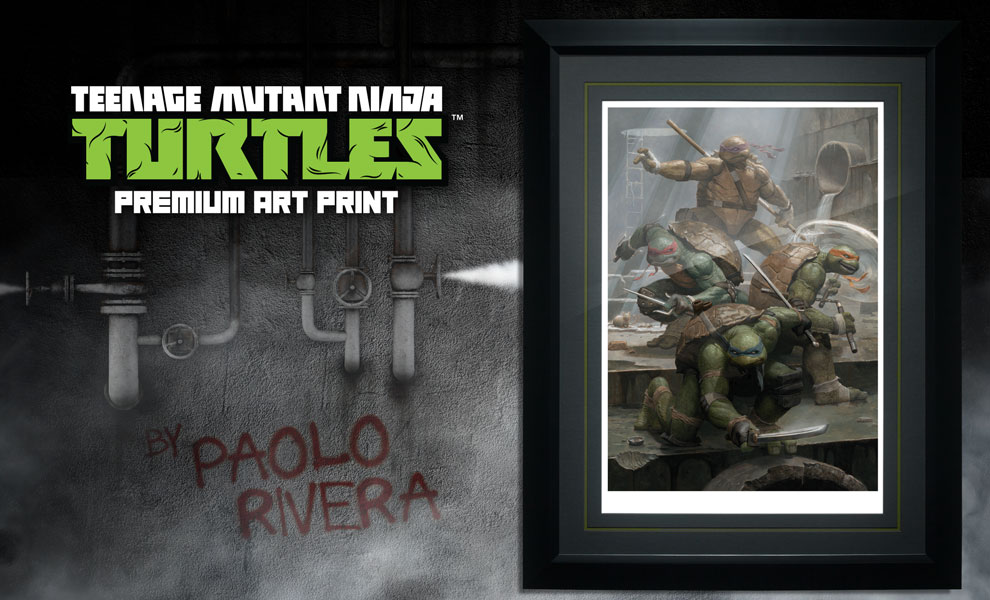 Detail Ninja Turtle Picture Frames Nomer 30
