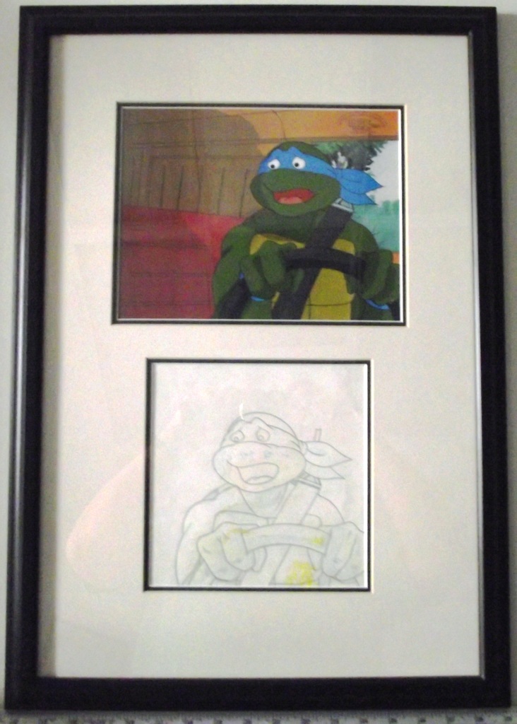 Detail Ninja Turtle Picture Frames Nomer 38