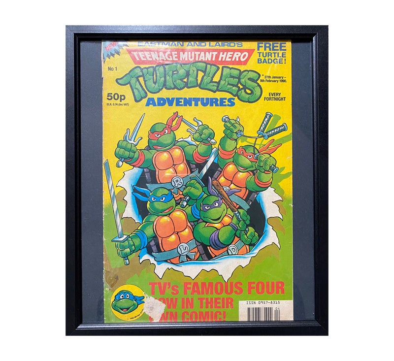 Detail Ninja Turtle Picture Frames Nomer 57