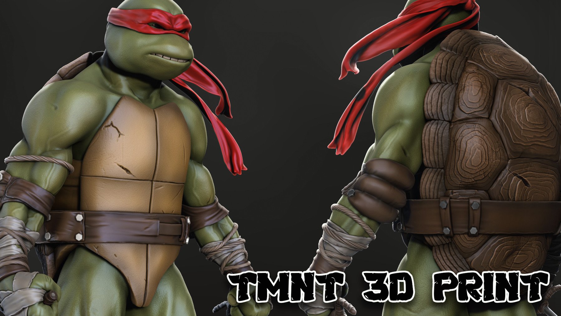 Detail Ninja Turtle Pictures To Print Nomer 31
