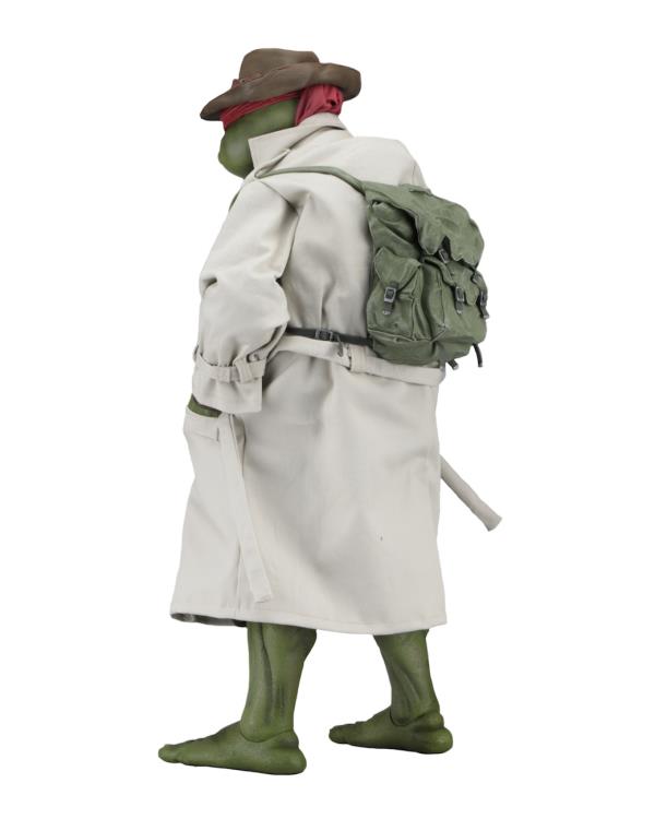 Detail Ninja Turtle Raincoat Nomer 26
