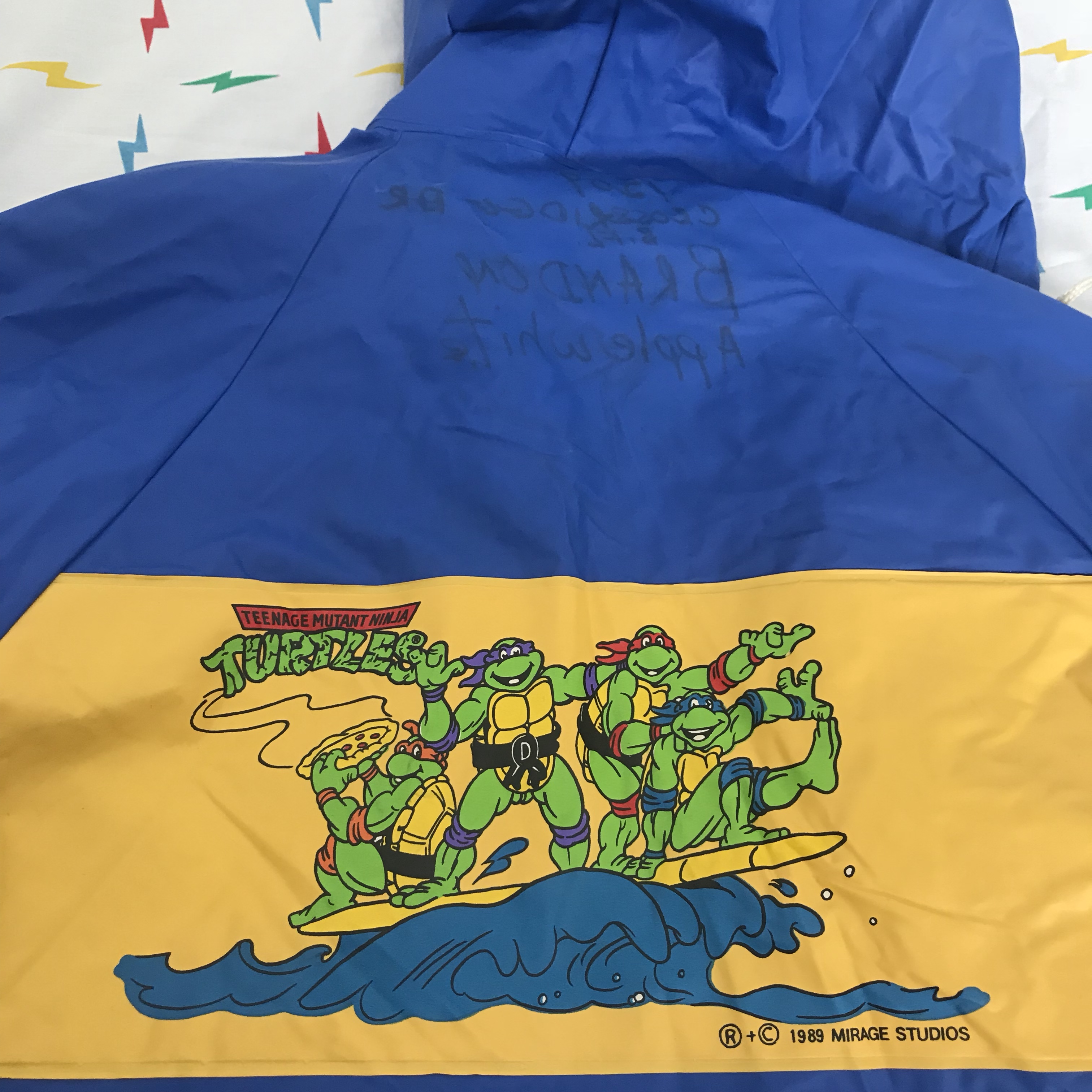 Detail Ninja Turtle Raincoat Nomer 36