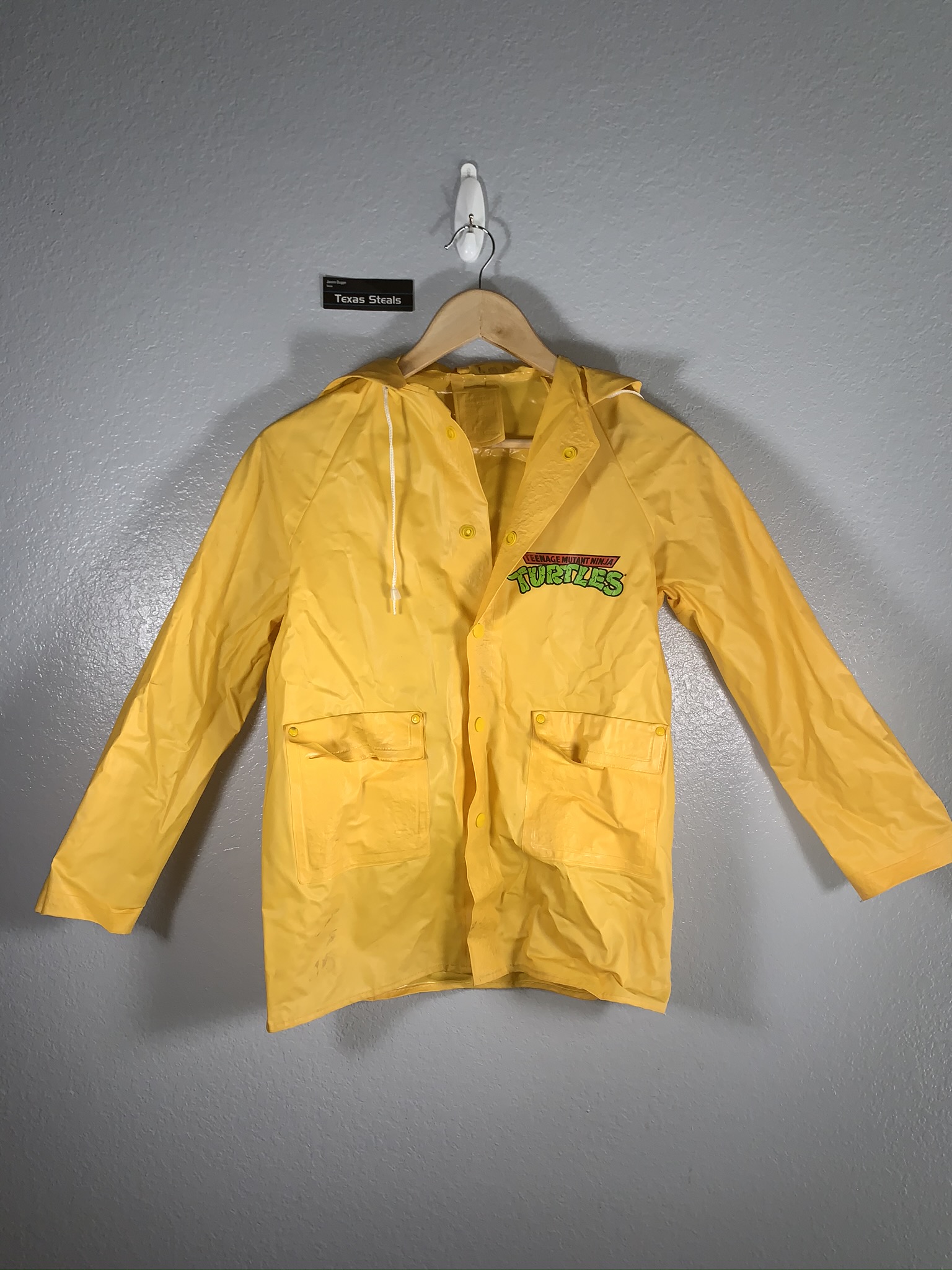 Detail Ninja Turtle Raincoat Nomer 45
