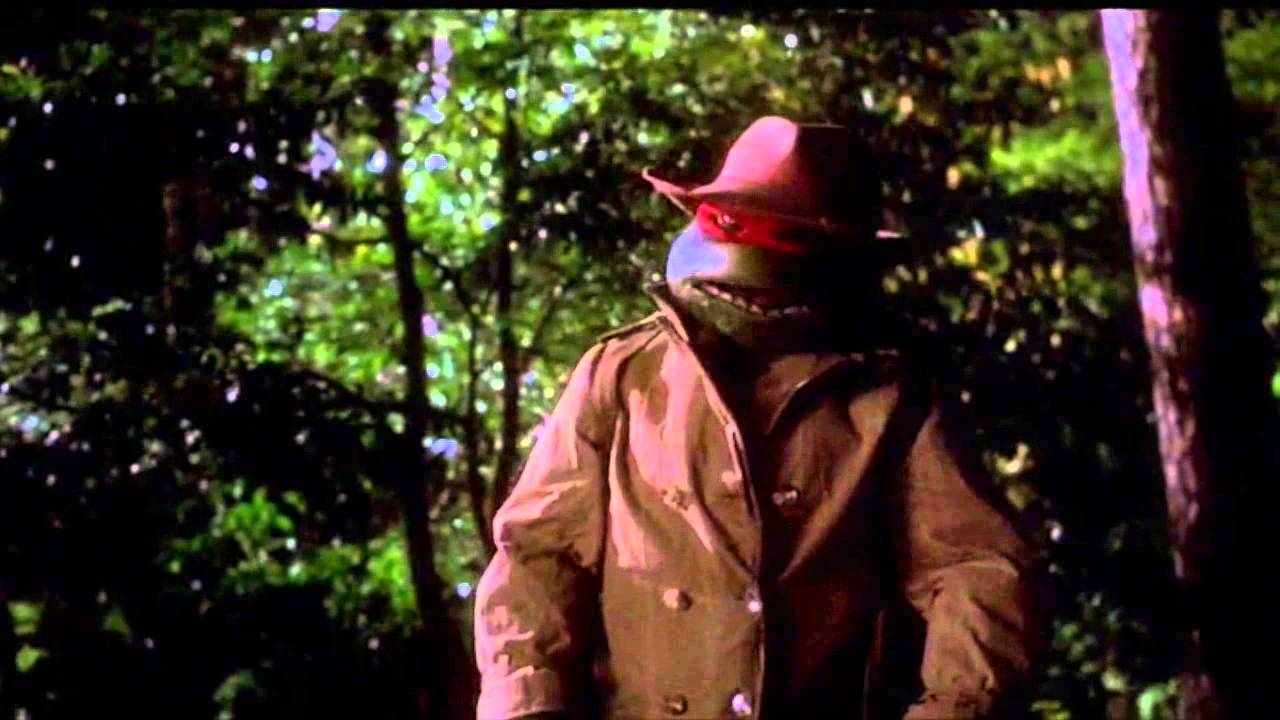 Detail Ninja Turtle Raincoat Nomer 46