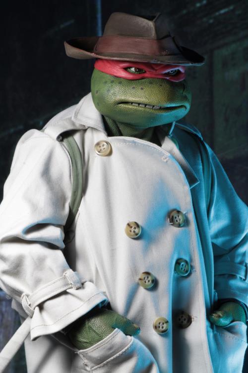 Detail Ninja Turtle Raincoat Nomer 51