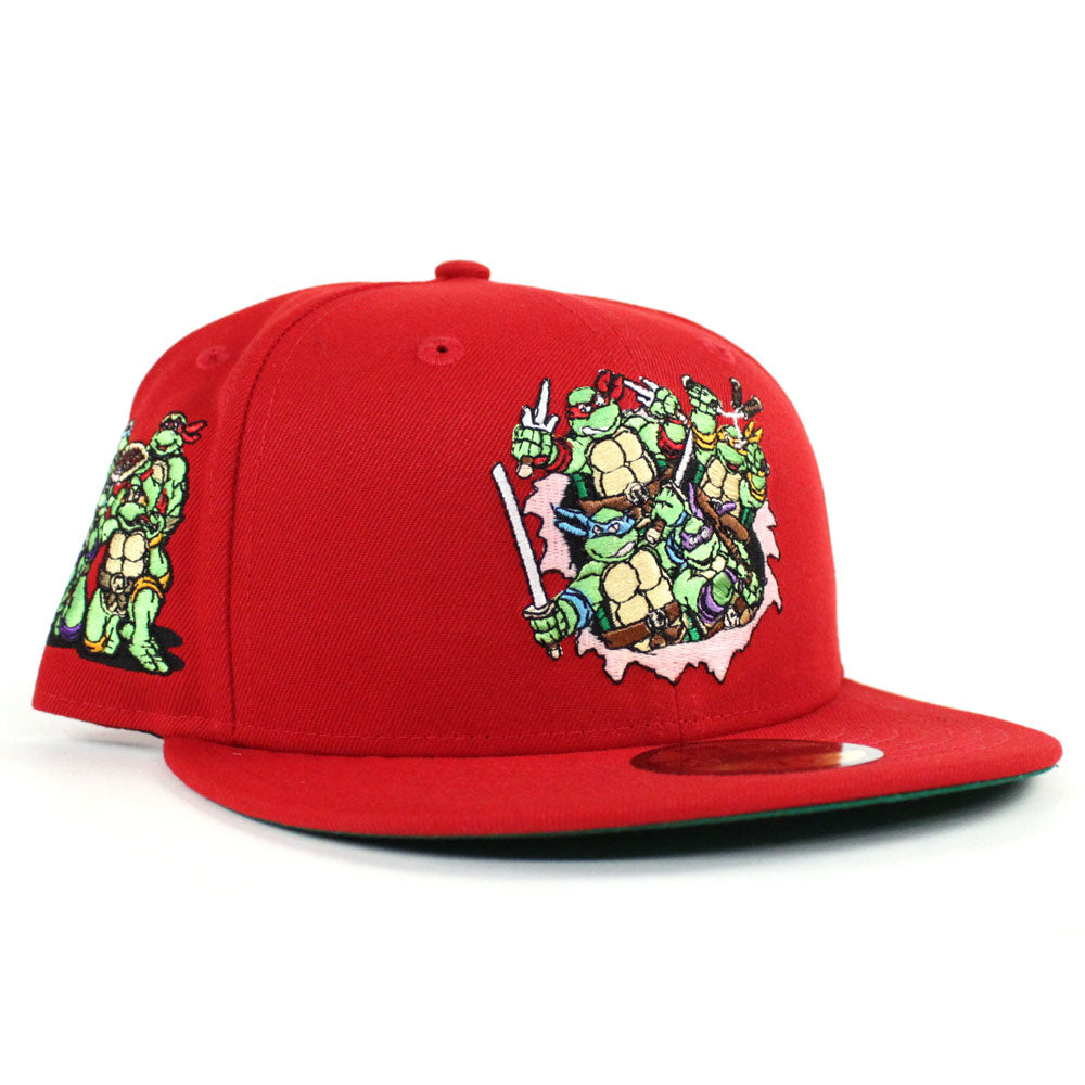 Detail Ninja Turtle Santa Hat Nomer 52