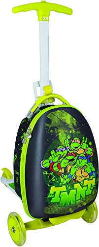 Detail Ninja Turtle Scooter Nomer 50