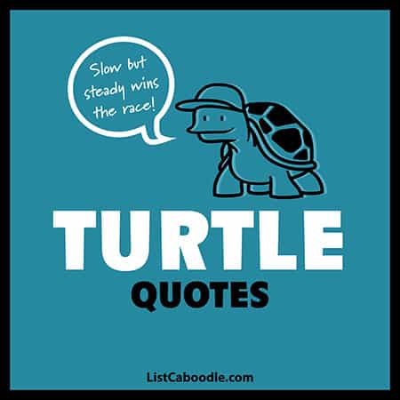 Detail Ninja Turtle Slogans Nomer 23