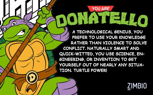 Detail Ninja Turtle Slogans Nomer 5